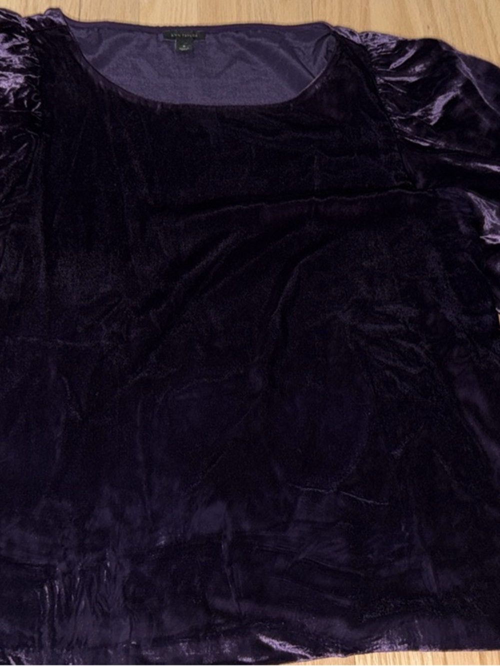 Ann Taylor Velvet Scoop Neck Top in Deep Purple